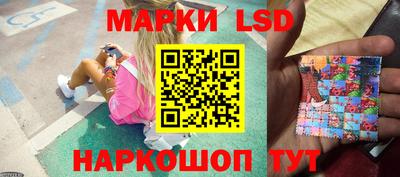 шишки Коммунар