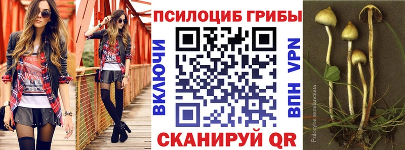 ссылка на мегу сайт  Красный Сулин  Галлюциногенные грибы MAGIC MUSHROOMS 