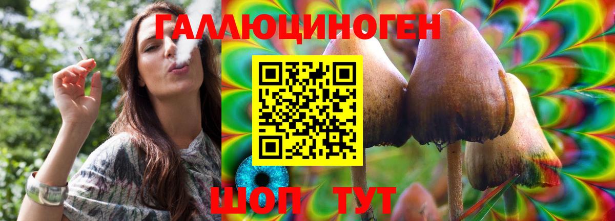 Галлюциногенные грибы MAGIC MUSHROOMS Красный Сулин