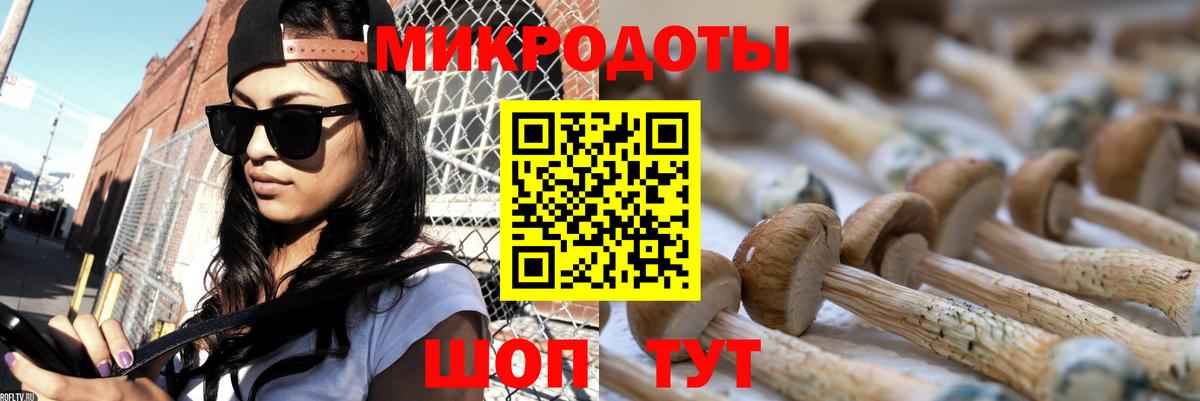 Псилоцибиновые грибы Psilocybine cubensis  Вход с VPN  Красный Сулин 