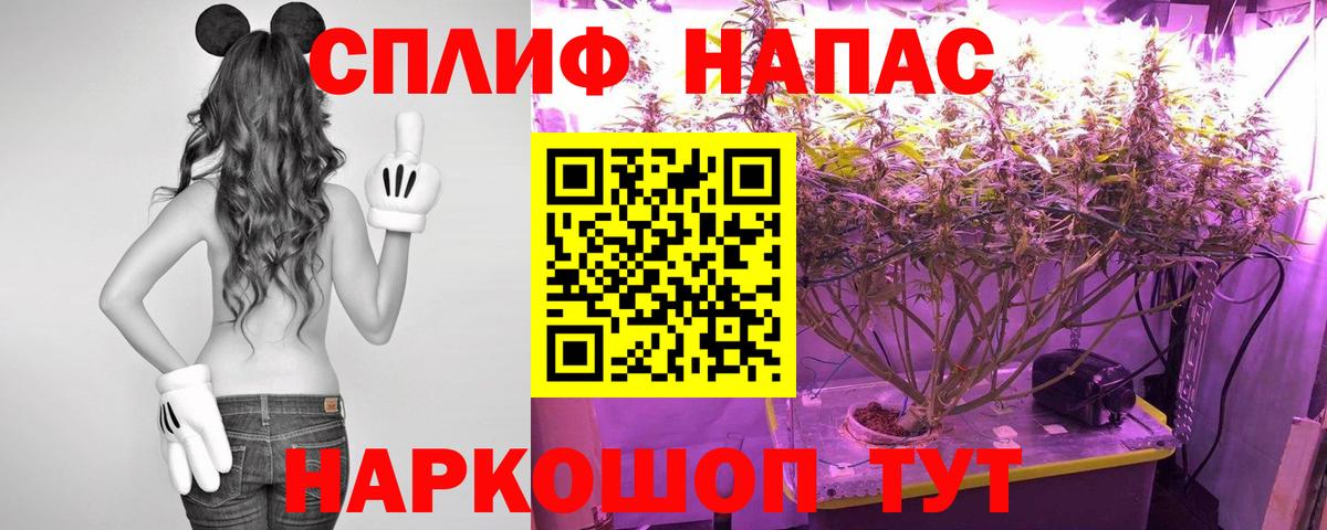 Канабис планчик  Каннабис Amnesia  Марихуана гибрид  Вход с VPN  Красный Сулин 